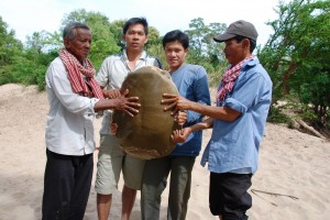 Cambodian Turtle
